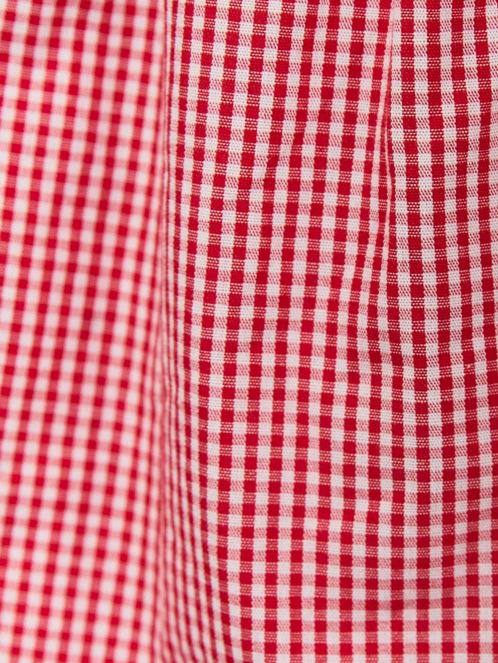 Red Micro Gingham Shorts