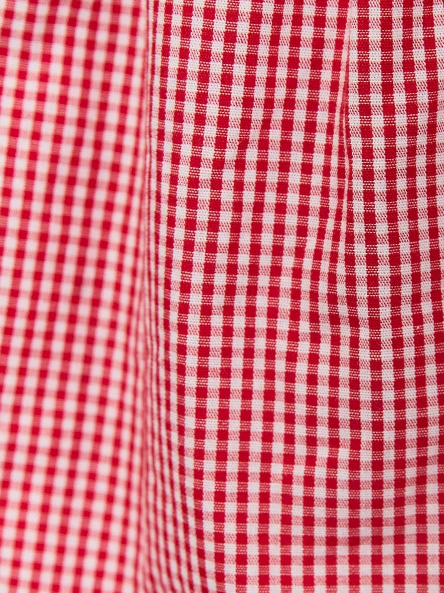 Red Micro Gingham Shorts