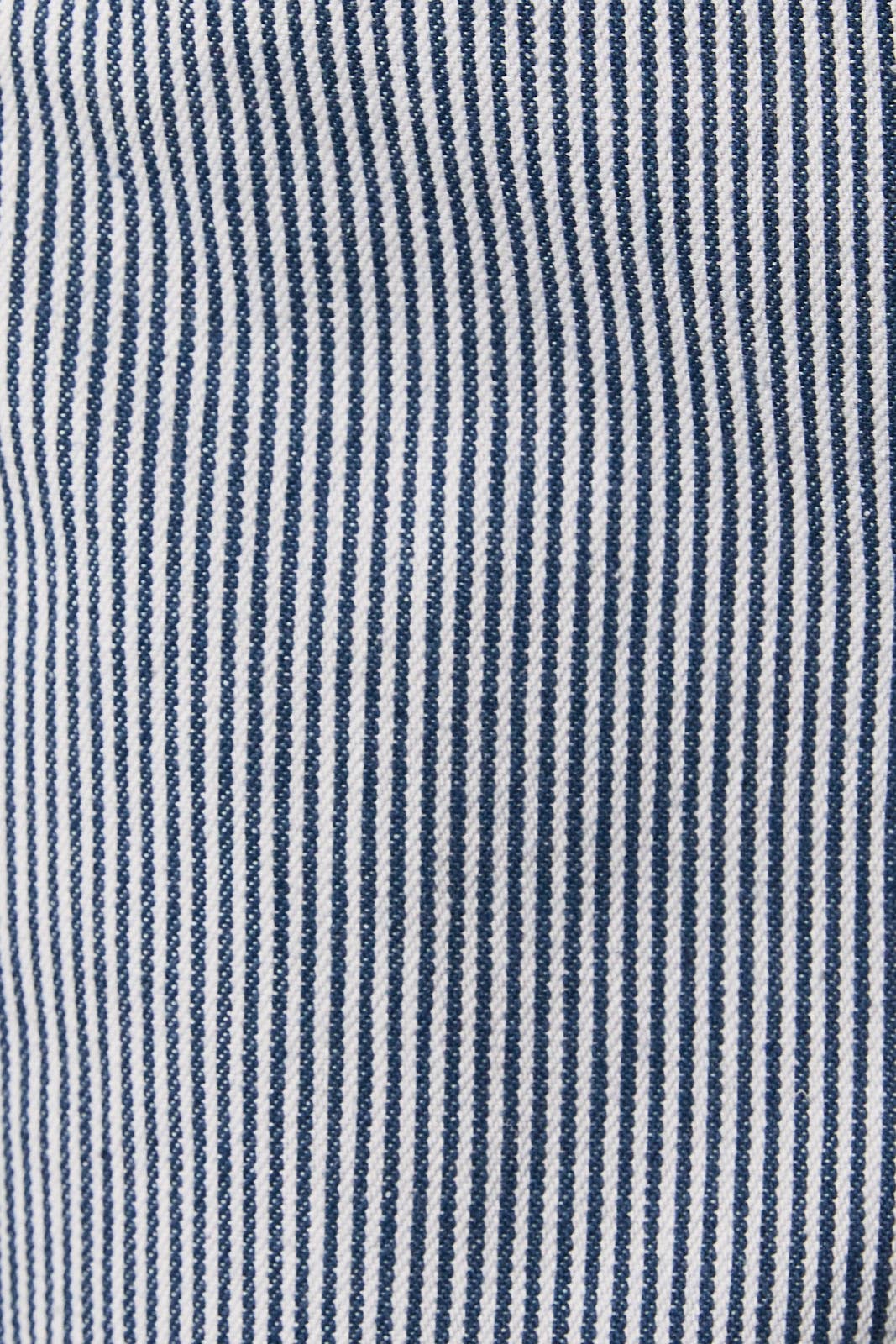 The Coastal Stripe Shorts