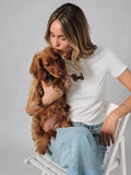 Dachshund Shirt